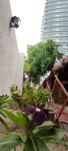 Hostal Caba�a Salguero