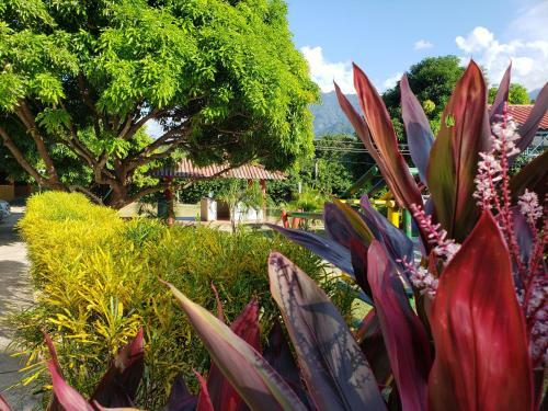 Hostal Casa Campo Villa Jerusal�n