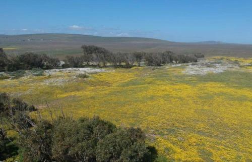 Duykereiland Gasteplaas