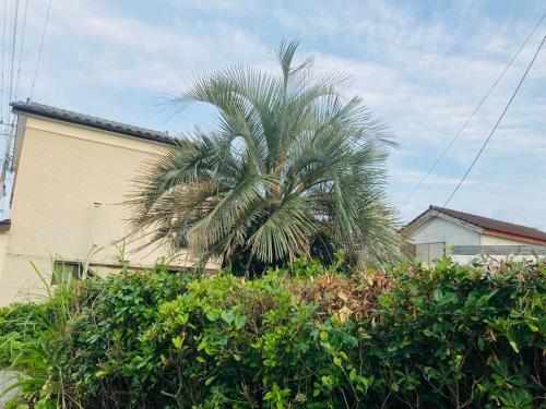 Hostal Guesthouse Nichinan - Vacation Stay 82913v