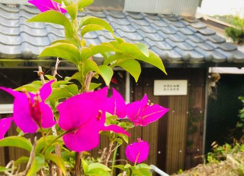 Hostal Guesthouse Nichinan - Vacation Stay 82913v