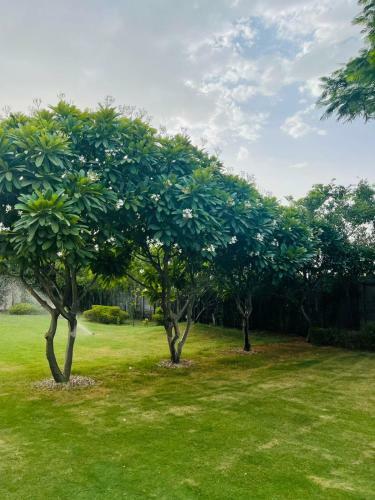 Villa The Mango Tree - By Shay Hospitality