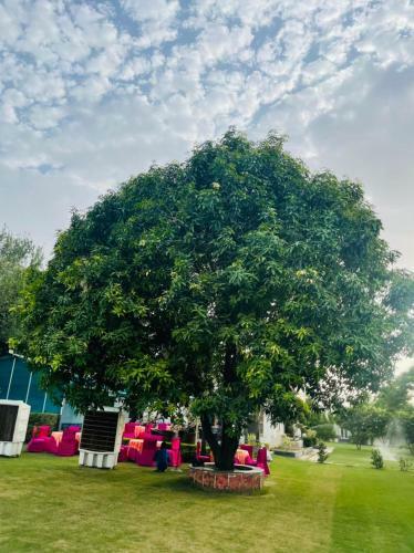 Villa The Mango Tree - By Shay Hospitality
