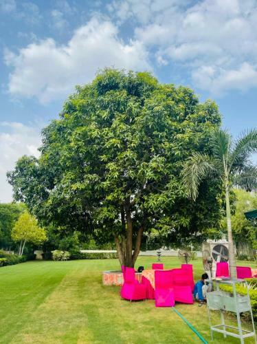 Villa The Mango Tree - By Shay Hospitality