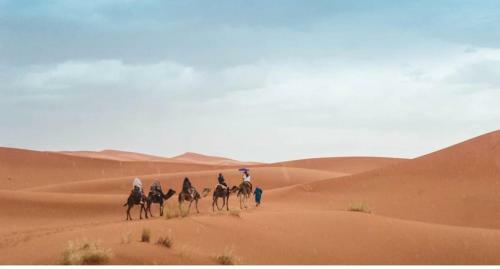 Apartamento Rajputanacampjaisalmer