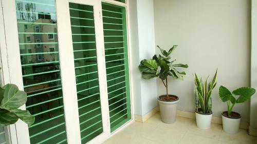 Hotel White Fern Stays