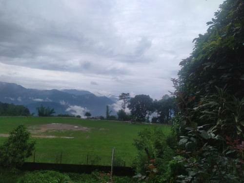 Grey Dove Homestay