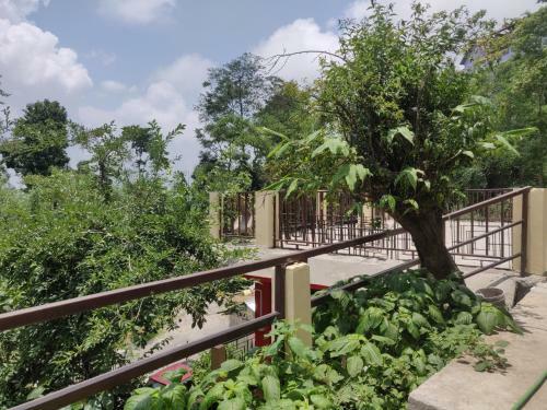 Tranquil Hillside Homestay