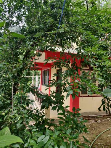 Tranquil Hillside Homestay