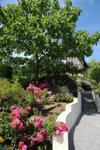 Bed & Breakfast Le Vieux Pressoir