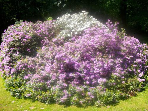 Bed & Breakfast Ch�teau De La Chassagne