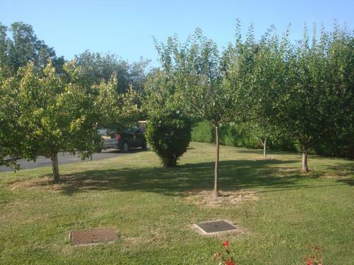 Maison Lous Amics