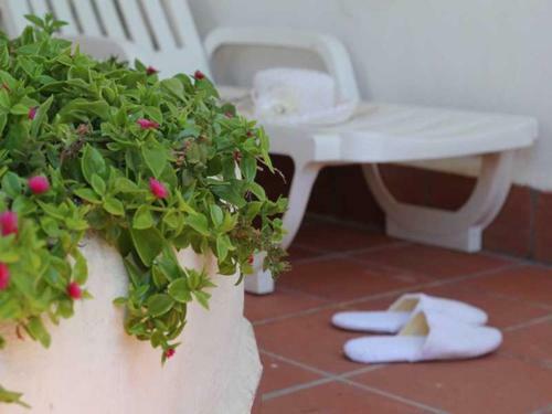 Apartamento Casa Vacanze Elianto