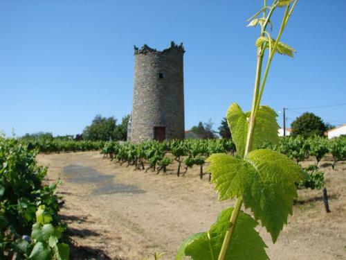 Bed & Breakfast Relais De La Rini�re