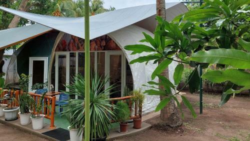 Shenanigans Glamping Resort