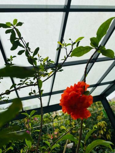 Hotel Kh�ch S?n Ami