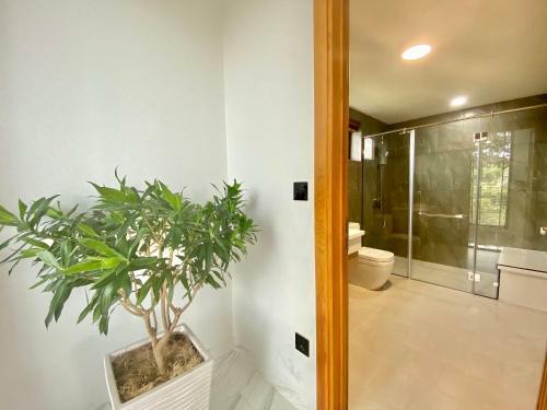 Villa Nh� C?a T�i - Gogo