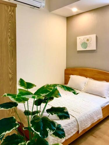 Apartamento Pi House - C?n H? V?ng T�u Melody