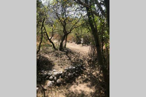 Finca Completa Dentro De Parque La Huasteca N.l.@