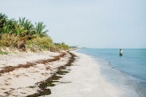 Villa Tucana Casa De Playa