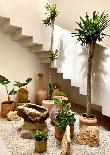 Villa Tucana Casa De Playa