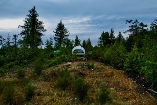 Off Grid Forest Dome