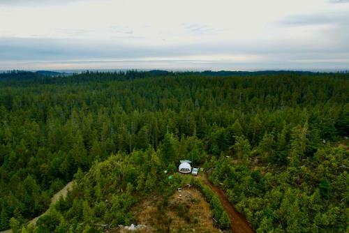 Off Grid Forest Dome