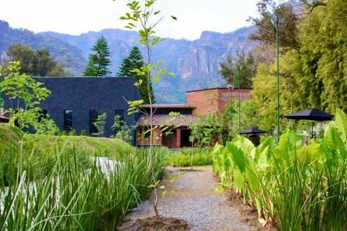Hotel Quinta Tonantzin