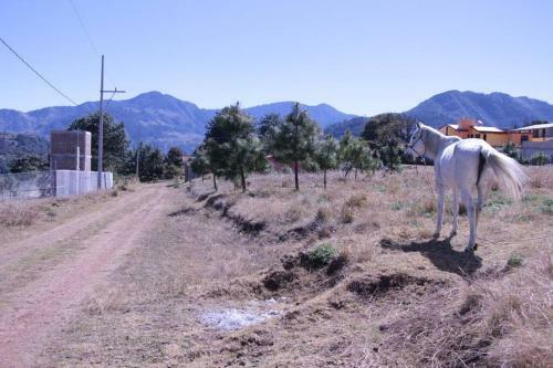 Caba�a Estancia La Terraza
