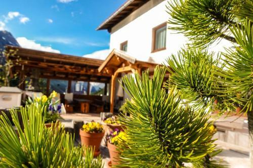 Apartamento Berghof Steinbock