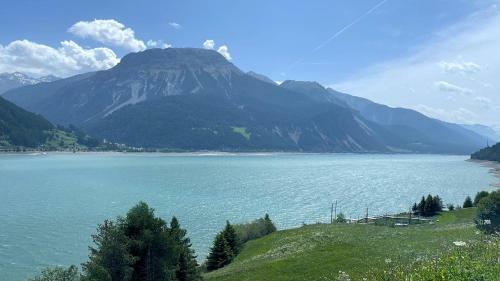 Apartamento Ferienwohnung Dalematiner