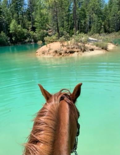 Harmony Ridge Ranch Nestled On A Secluded 6 Acres