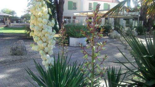 Hotel Le Parasol