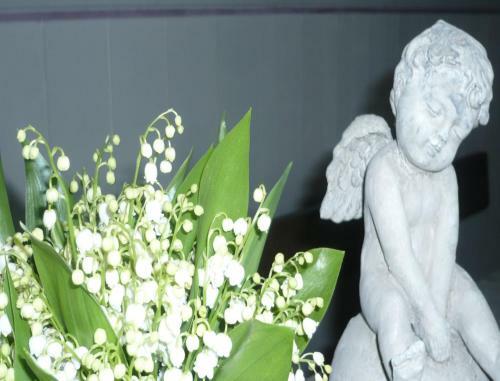 Hostal Domaine De Montgenoux