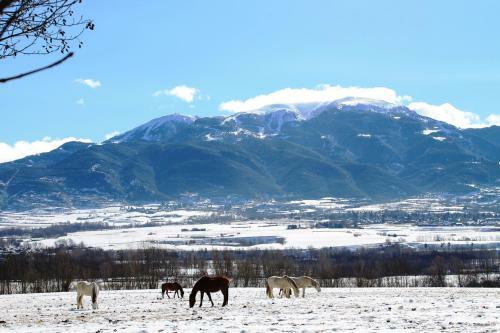 Bed & Breakfast Cal Franc�s