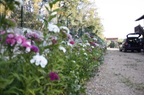 Apartamentos Rurales Las Carballedas