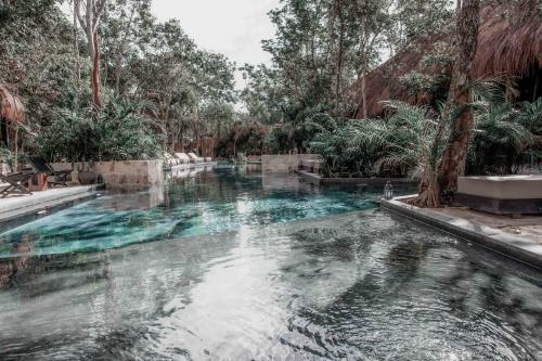 Vida Tulum Apartment 15 With Access To Hotel Bardo