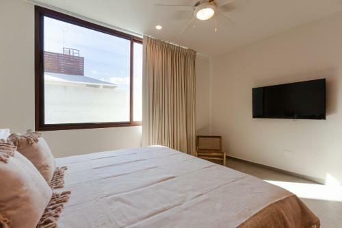 Apartamento Azalea By Zam� Homes