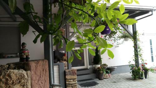 Apartamento G�stehaus Im Salhof