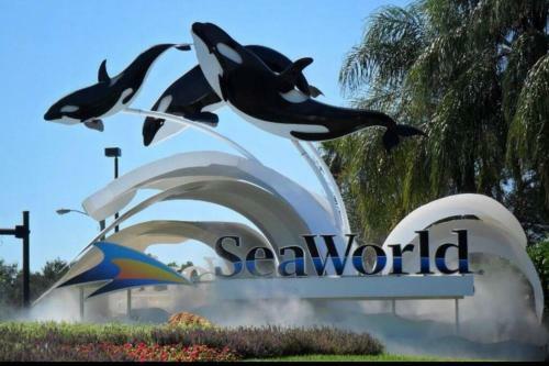 Spacious, Luxury Ocean Master Suite 2 Bd 1 Ba