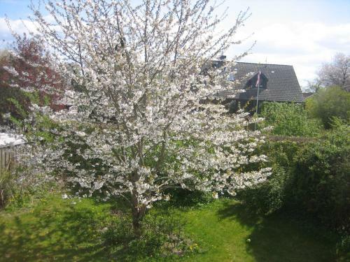 Apartamento Ferienwohnung Mit Seeblick !