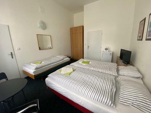 Hostal Penzion Zahrada ?ech