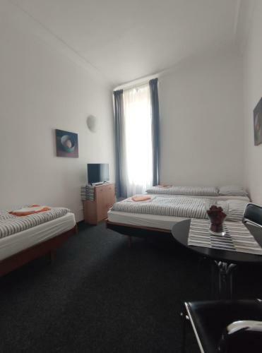 Hostal Penzion Zahrada ?ech