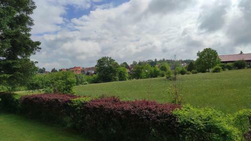Apartamento Fewo Harzer Wiesenblick