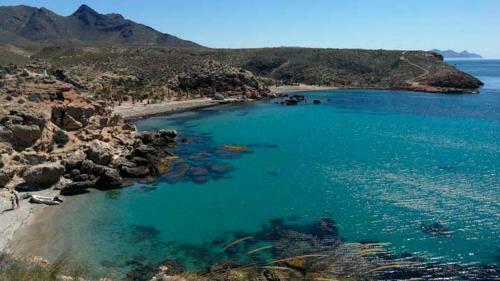 Apartamento Con Porche, Jard�n Y Piscina