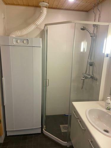 Yll�s Chalets IX A9104