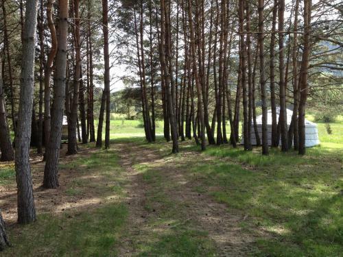 Bed & Breakfast Le Bois Fa�