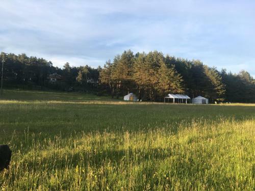 Bed & Breakfast Le Bois Fa�