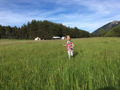 Bed & Breakfast Le Bois Fa�