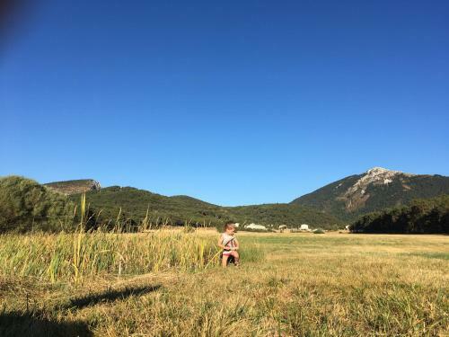 Bed & Breakfast Le Bois Fa�